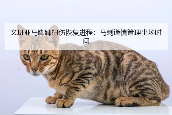 wen-ban-ya-ma-jiao-huai-niu-shang-hui-fu-jin-cheng-ma-ci-jin-shen-guan-li-chu-chang-shi-jian-2-623.jpg